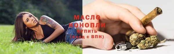 сатива Белокуриха