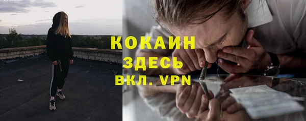 мяу мяу кристалл Тайга