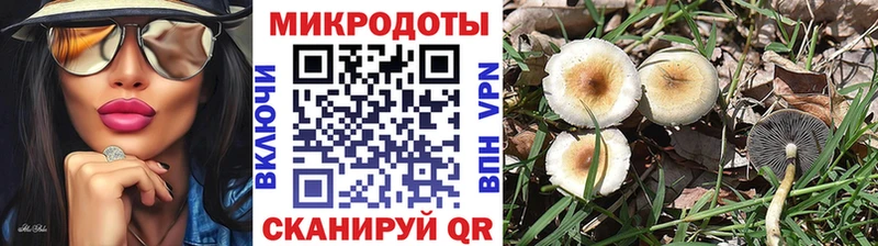Псилоцибиновые грибы мухоморы Макаров